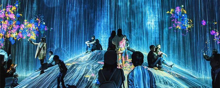 Learning and Design in the Digital Age