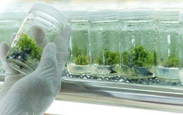 Introduction to Biology, Introduction to Biology