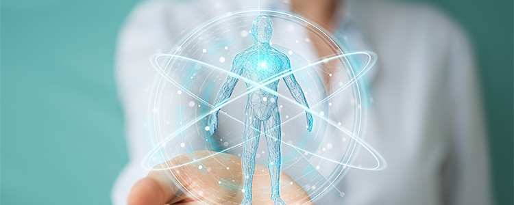 Anatomy & Physiology