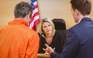 Law Enforcement,  Law Enforcement