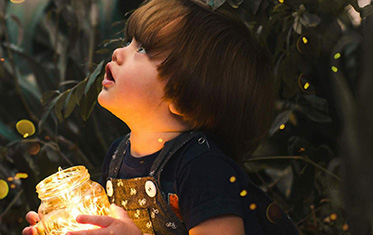 The Developing Brain and the Young Child