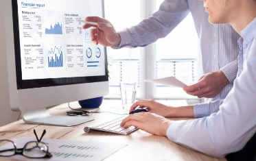 Auditing & Internal Controls, Auditing & Internal Controls