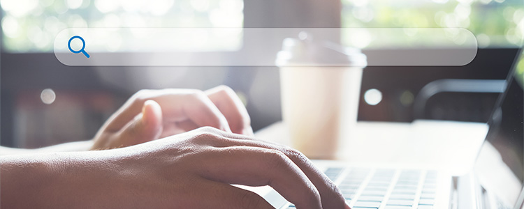 Search Engine Optimization