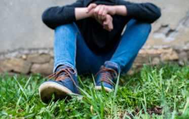 Juvenile Development, Justice, & Delinquency, Juvenile Development, Justice, & Delinquency