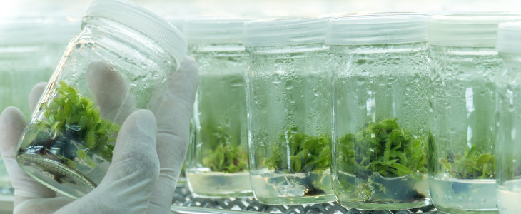 Introduction to Biology