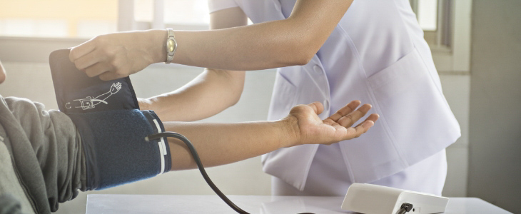 Theoretical and Scientific Foundations for Nursing