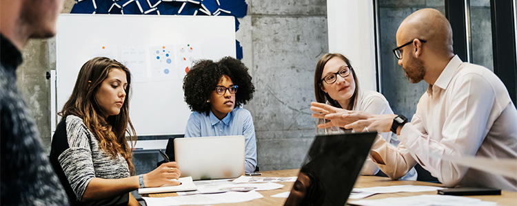 The Essentials of Project Management