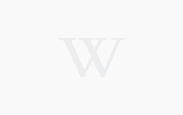 The Nature of Conflict in the Workplace
