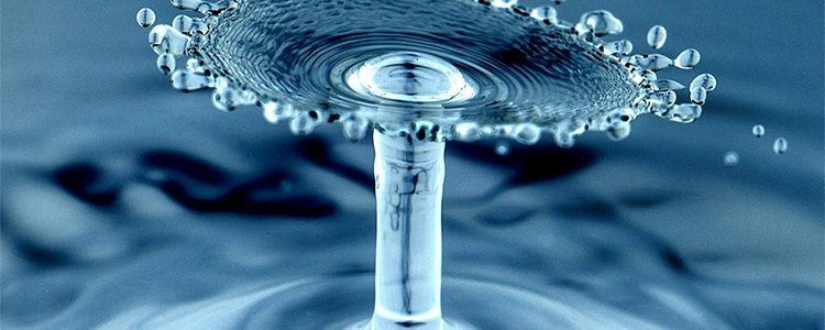 Exploring the Physical World