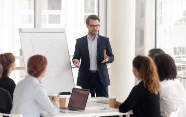 Consulting for Organizational Change, Consulting for Organizational Change