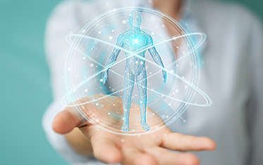 Anatomy & Physiology